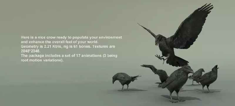 BIRDS PACK📱 - изображение 2